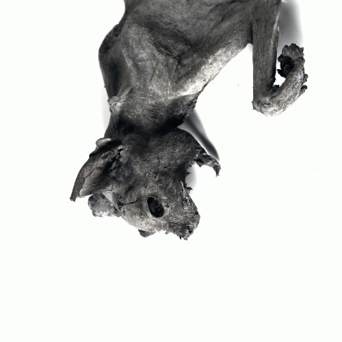 Henrik Nordvargr Björkk : Metempsychosis